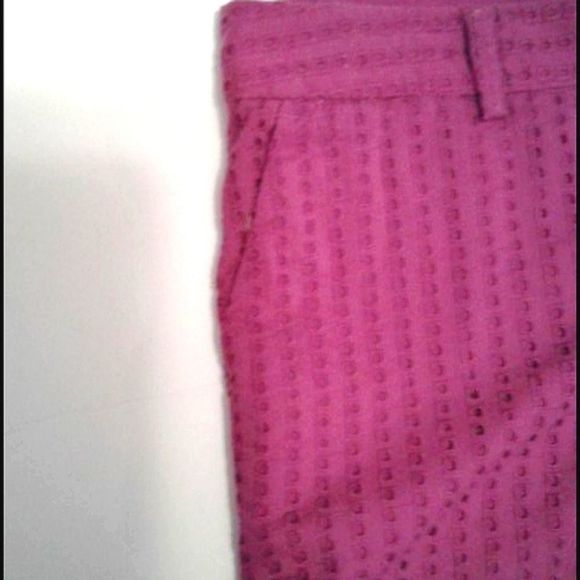 Banana Republic Boho Romantic Magenta Eyelet Dressy Shorts - Picture 3 of 7